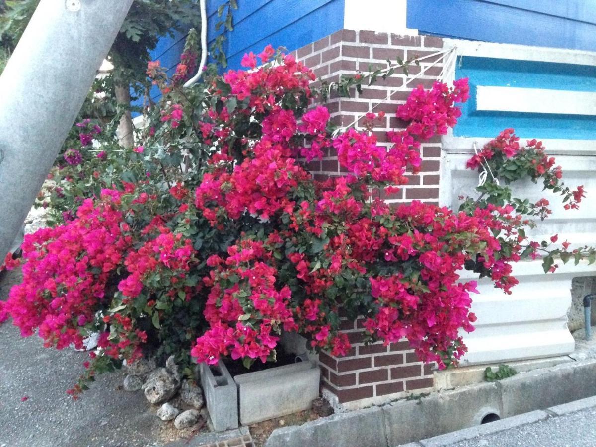 Sesoko Terrace 2 Minutes To The Beach Ocean View موتوبو المظهر الخارجي الصورة